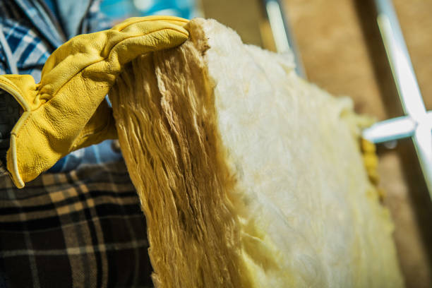 Best Energy-efficient Insulation  in Morrisonvle, IL